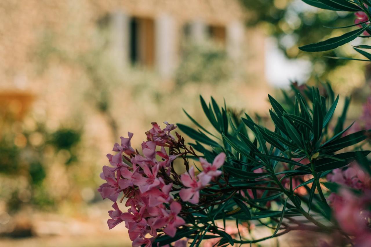 Les Gites Du Clos Saint Michel & Spa Malaucène Eksteriør bilde